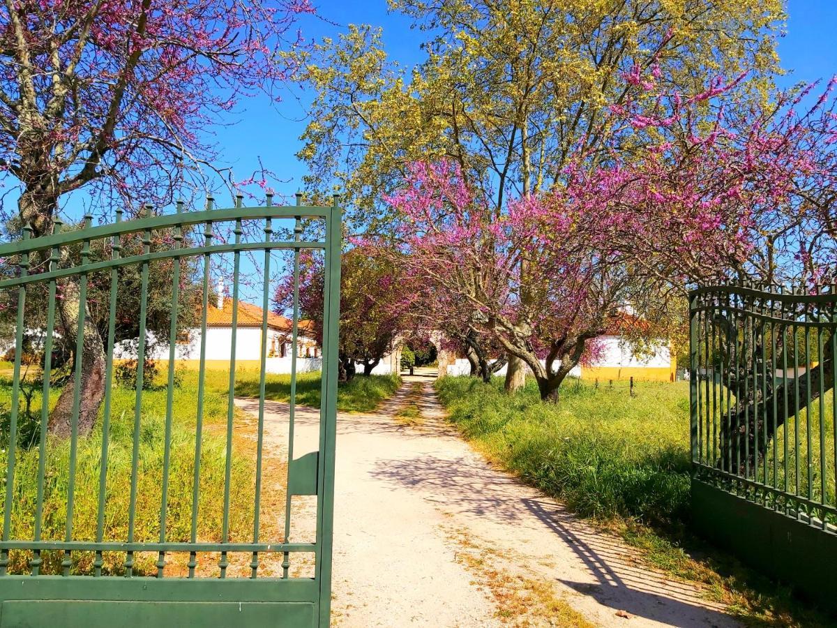 Casas Herdade Do Convento Da Serra Алмейрин Экстерьер фото