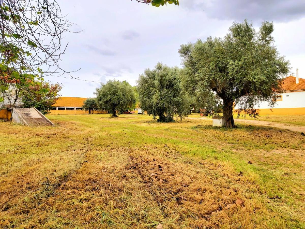 Casas Herdade Do Convento Da Serra Алмейрин Экстерьер фото