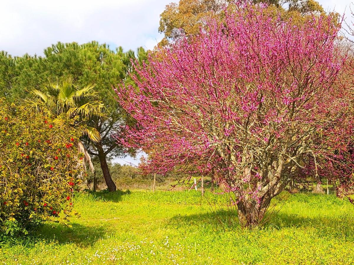 Casas Herdade Do Convento Da Serra Алмейрин Экстерьер фото